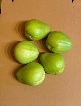 5 Chayoten Chayote zur Anzucht - Eisleben (Lutherstadt)