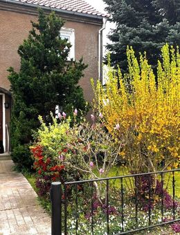 Reihenendhaus mit großem Gartengrundstück in Ortsrandlage - Menteroda
