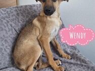 Wendy eine gebrochene Seele - Mannheim