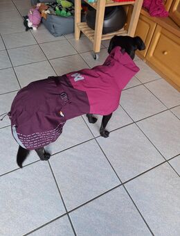 Hunderegenmantel Fjord, 55cm, non-stop dogwear - Bergheim (Nordrhein-Westfalen)