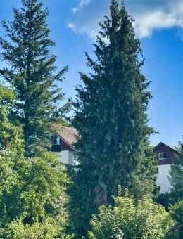 Helle 3-Zimmer-Wohnung in ruhiger Lage von Baden-Baden-Lichtental - Baden-Baden