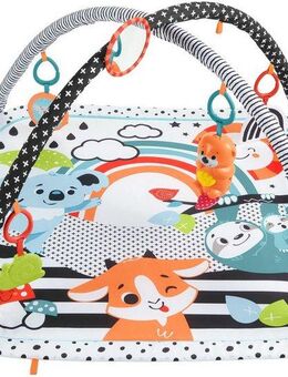 Fisher-Price® Spielbogen mit Spieldecke, mit Licht und Sound
