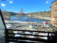 Top saniertes Appartement mit Blick auf den Kranichsee - Goslar