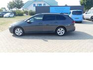 VW Golf Variant, 1.0 TSI VIII Comfortline Life, Jahr 2021 - Vordorf