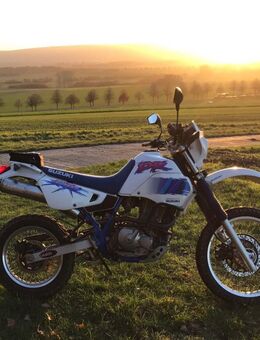 Suzuki DR 650 Ersatzteile SP41 - SP42 - SP43 - SP44 - SP45 - DR650 gebrauchte Teile - Sundern (Sauerland) Zentrum