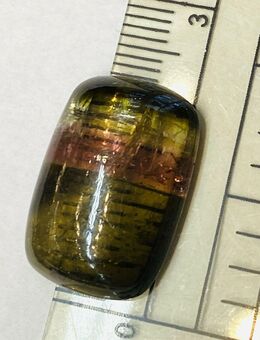 TURMALIN CABOCHON grün rosa 11 ct Brasilien parallele Farbzonen - Köln