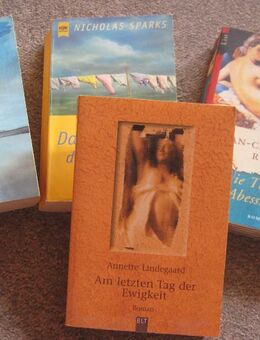 Romane / Unterhaltungsliteratur ohne Ende --- Teil 5 - Neuenkirchen (Landkreis Heidekreis)