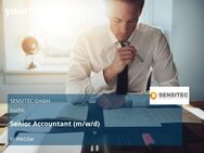 Senior Accountant (m/w/d) - Wetzlar