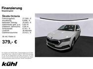 Skoda Octavia, 2.0 TDI Combi Style, Jahr 2022 - Hildesheim