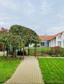 Vielseitig nutzbare Immobilie mit zusätzlichem Baugrundstück in Steinfeld (Oldenburg), Mühlen - Steinfeld (Oldenburg)