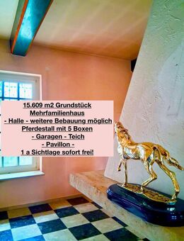 PREISIDEEN ERBETEN!! Traum Areal für Pferdeliebhaber - sofort frei - Mehrfamilienhaus - Bauland - Halle - Pferdestall -Weide - 6 Min-HH Schnelsen - Hasloh