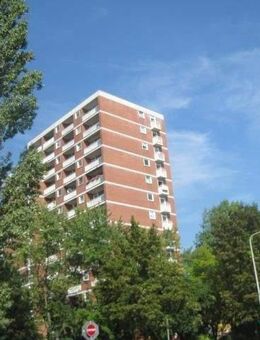 Perfekt für Singles: individuelles 1-Zimmer-Appartment mit Balkon! - Frankfurt (Main)