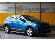 Opel Grandland X Navi 360°Kamera AHK Panoramadach - Mettingen