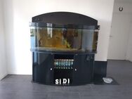 Aquarium Panorama Scheibe Hochglanz schwarz komplett VB mit Pumpe 450Liter - Damshagen