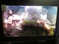Komplettes Meerwasseraquarium 300L mit reichem Besatz & viel Zubehör – 150 € in 22523