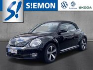 VW Beetle, 1.4 TSI Cabrio Allstar, Jahr 2016 - Salzbergen