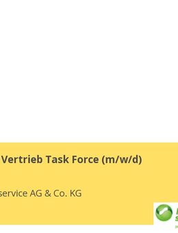 Teamleiter Vertrieb Task Force (m/w/d) - Kiel