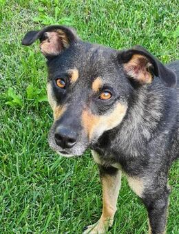 Chara verlor ihre Kinder - Augsburg