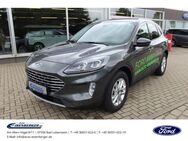 Ford Kuga 2.5 Plug-In Hybrid Titanium X LED Kamera - Bad Lobenstein