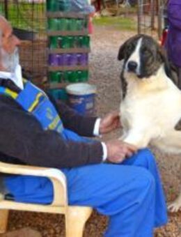 Jasmine - Lady mit toller Ausstrahlung - Mettmann
