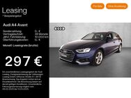 Audi A4, Avant 40 TFSI quattro advanced PLUS 17ZOLL, Jahr 2024 - Mühlheim (Main)