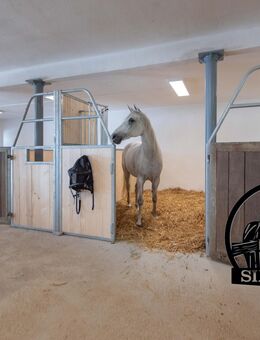Reitstall, Pferdestall, Stalltrakt, Pferdebox, mieten, pachten - Altomünster