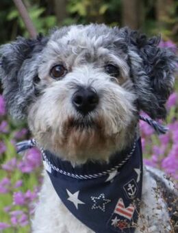 Paul mit 66 Jahren da fängt das Leben an - Grömitz