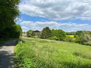 Resthof mit Weideflächen in traumhafter Lage - Tecklenburg