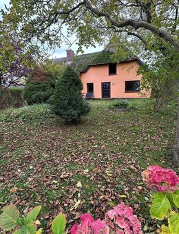 AHRENSHOOP: Ein besonderes Haus mit Geschichte zwischen Bodden und Ostsee - Ahrenshoop (Ostseebad)