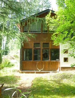 Ruhe I Wald I Freizeitgrundstück I Trier - Trier