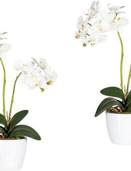 Kunstpflanze Phalaenopsis Orchidee, Creativ green, Höhe 50 cm