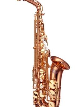 JUPITER Profiklasse Altsaxophon JP 969 GL-RB in Es, Neuware - Hagenburg