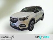 Opel Grandland X, Ultimate Plug-in-Hybrid 4, Jahr 2021 - Bad Driburg