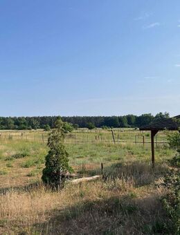 Idyllisch gelegenes Grundstück mit Bestandsgebäude zu verkaufen - Altlandsberg