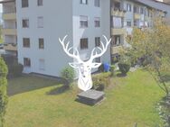 Gepflegte 4,5 Zi. Erdgeschoss Wohnung mit großzügigem Garten in familienfreundlicher Lage von Waldshut - Waldshut-Tiengen