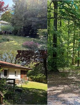 Wohnen im Grünen - gepflegter Bungalow in Wandlitz direkt am Wald - Wandlitz