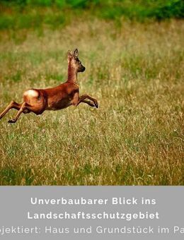 Einmalige Chance - mitten in der Natur und doch gut angebunden - Hamburg