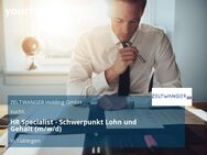 HR Specialist - Schwerpunkt Lohn und Gehalt (m/w/d) - Tübingen