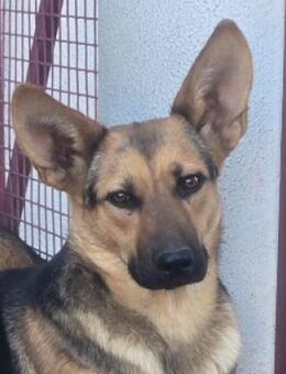 KIRA moechte ihr Leben beginnen - Gefrees