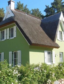 Traumhaftes reetgedecktes Ferienhaus mit einzigartiger Randlage an der Ostsee - Glowe
