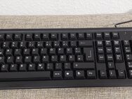 PC-Tastatur Powerking LK 2030 K10 - Löbau