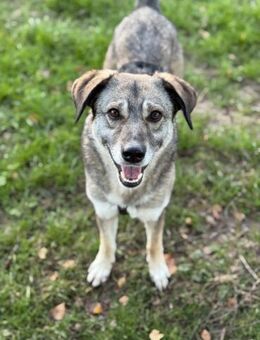 Filia freut sich sehr über Snacks - Chemnitz