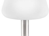 Paul Neuhaus LED Tischleuchte Till, Dimmfunktion, LED wechselbar, Warmweiß, 3-Stufen Touchdimmer