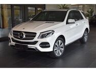 Mercedes-Benz GLE 400 4Matic 9G"MASSAGE"360°KAMERA"AHK"LED" - Dieburg