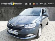 Skoda Fabia 1.0 Cool Plus KLIMA ALU PDC SHZ - Altenkirchen (Westerwald)