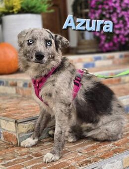 Azura ❤️ so außergewöhnlich schön - Kissing