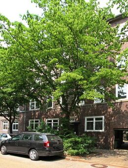 ZINSHAUS MIT 10 WE IN GRÜNER LAGE VON HAMBURG-WANDSBEK - Hamburg