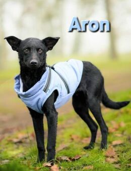 Aron❤️menschenverliebter Jungspund - Kissing