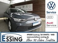 VW Golf, 2.0 TDI Life, Jahr 2020 - Lastrup