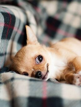 Dieses perfekte Cityapartment für Durchstarter - Berlin